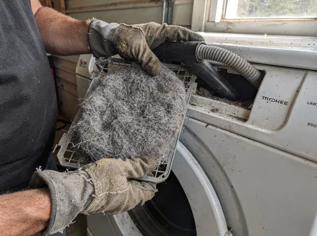 Cleaning Dryer Lint Trap in Rossmoor